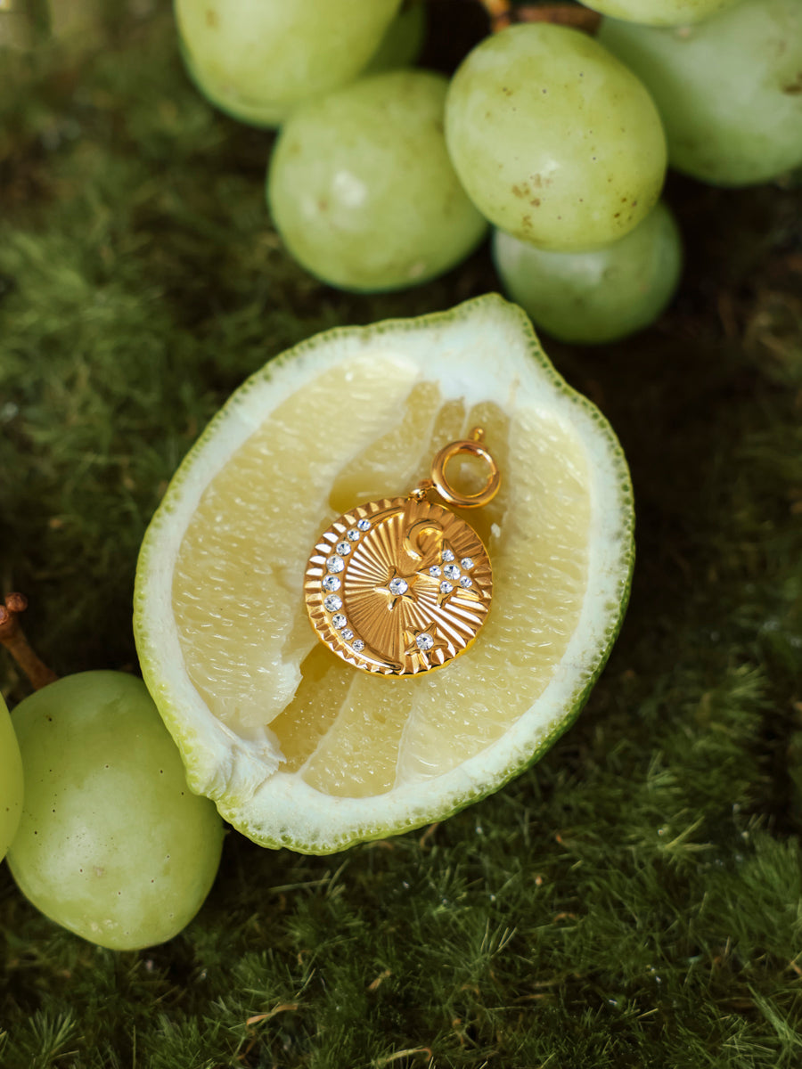 Starlit Moon Ketten-Charm