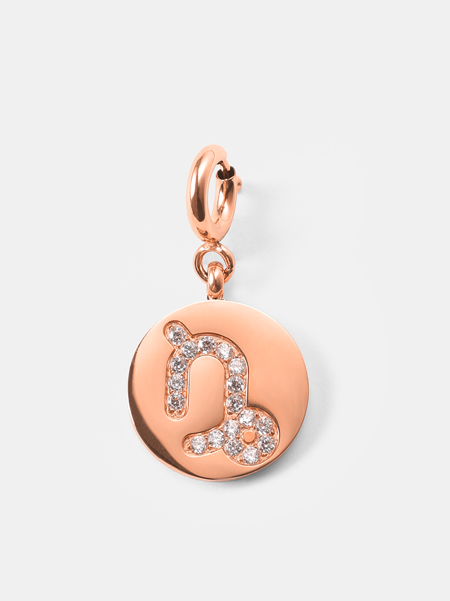 Twinkling Zodiac Ketten-Charm - Capricorn