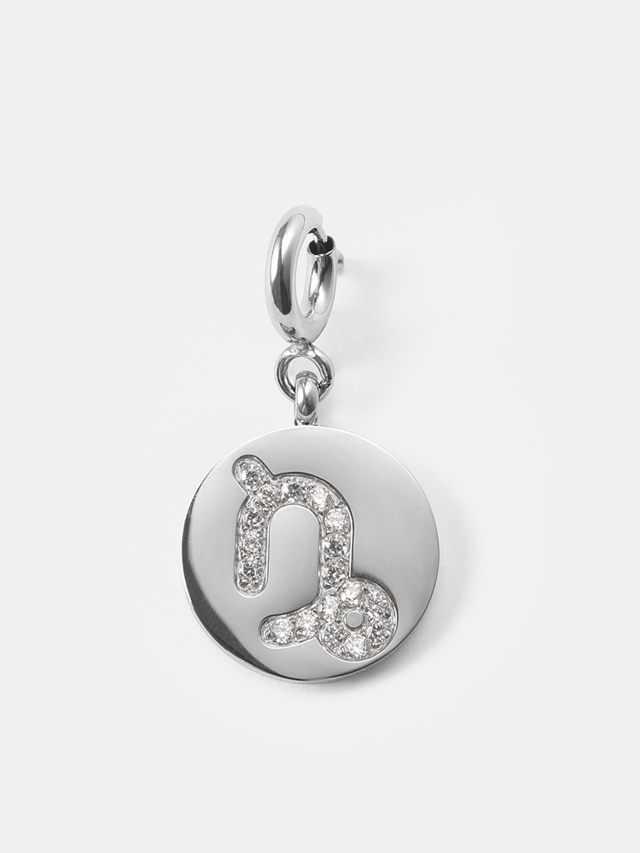 Twinkling Zodiac Ketten-Charm - Capricorn