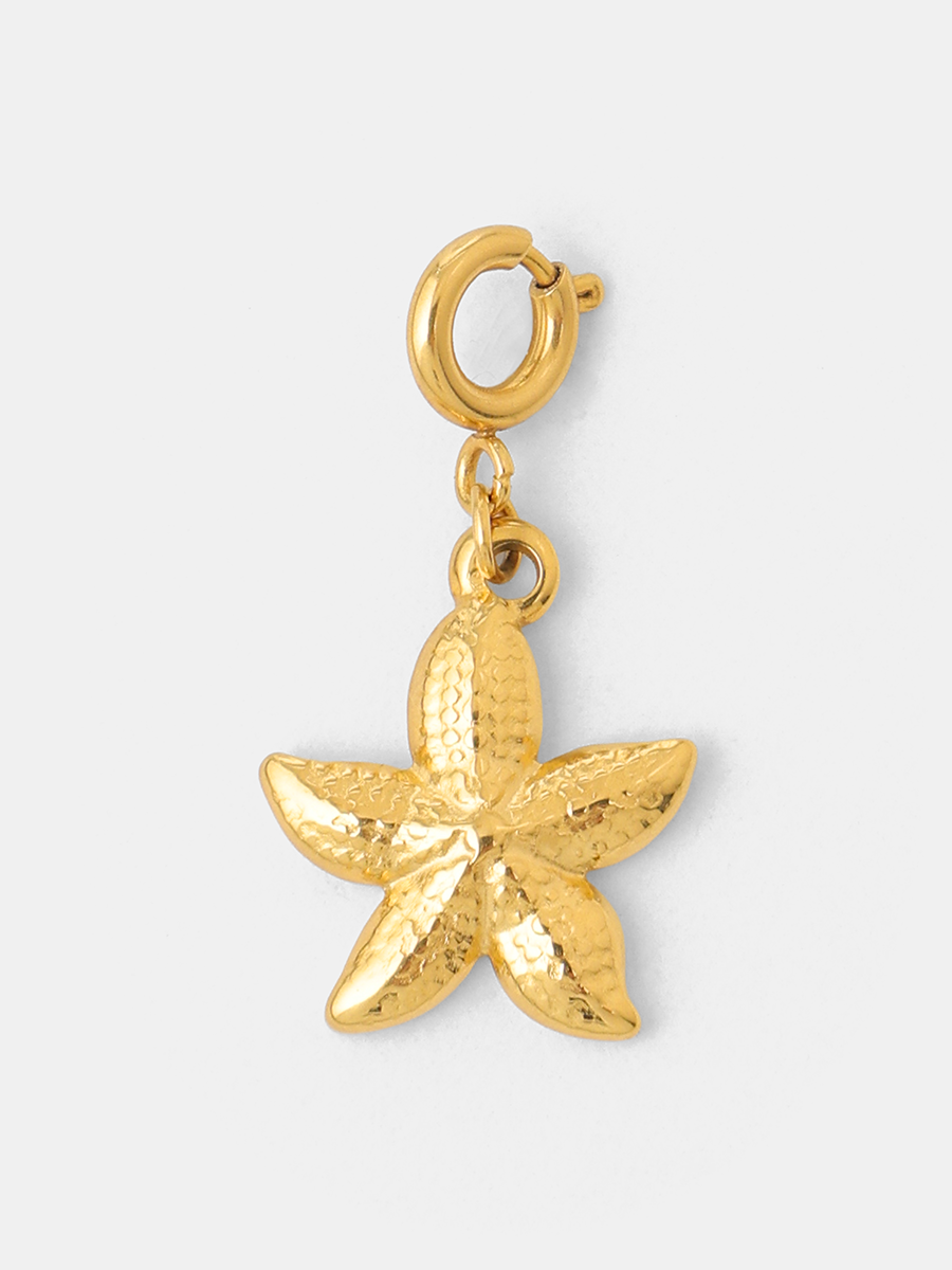 Coast Star Ketten-Charm