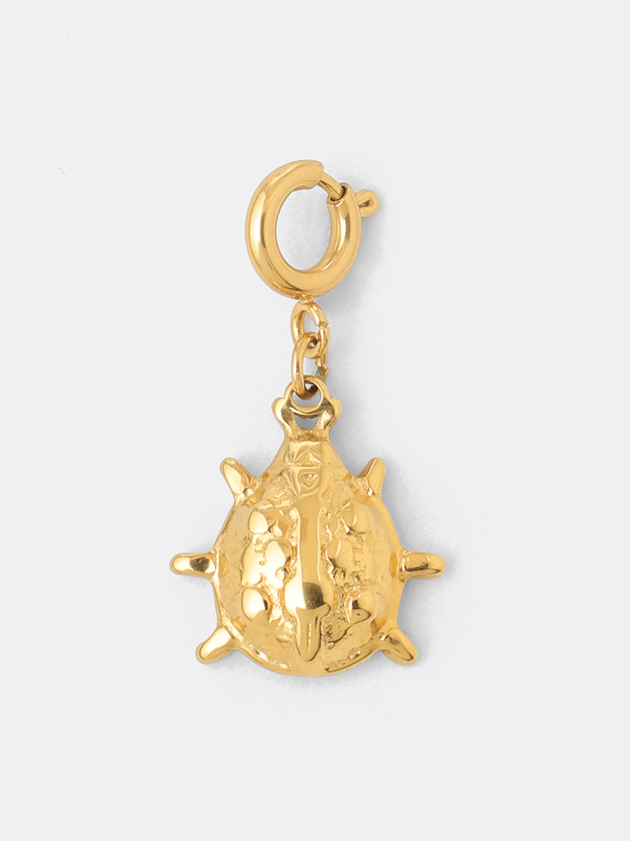 Ladybird Wish Ketten-Charm