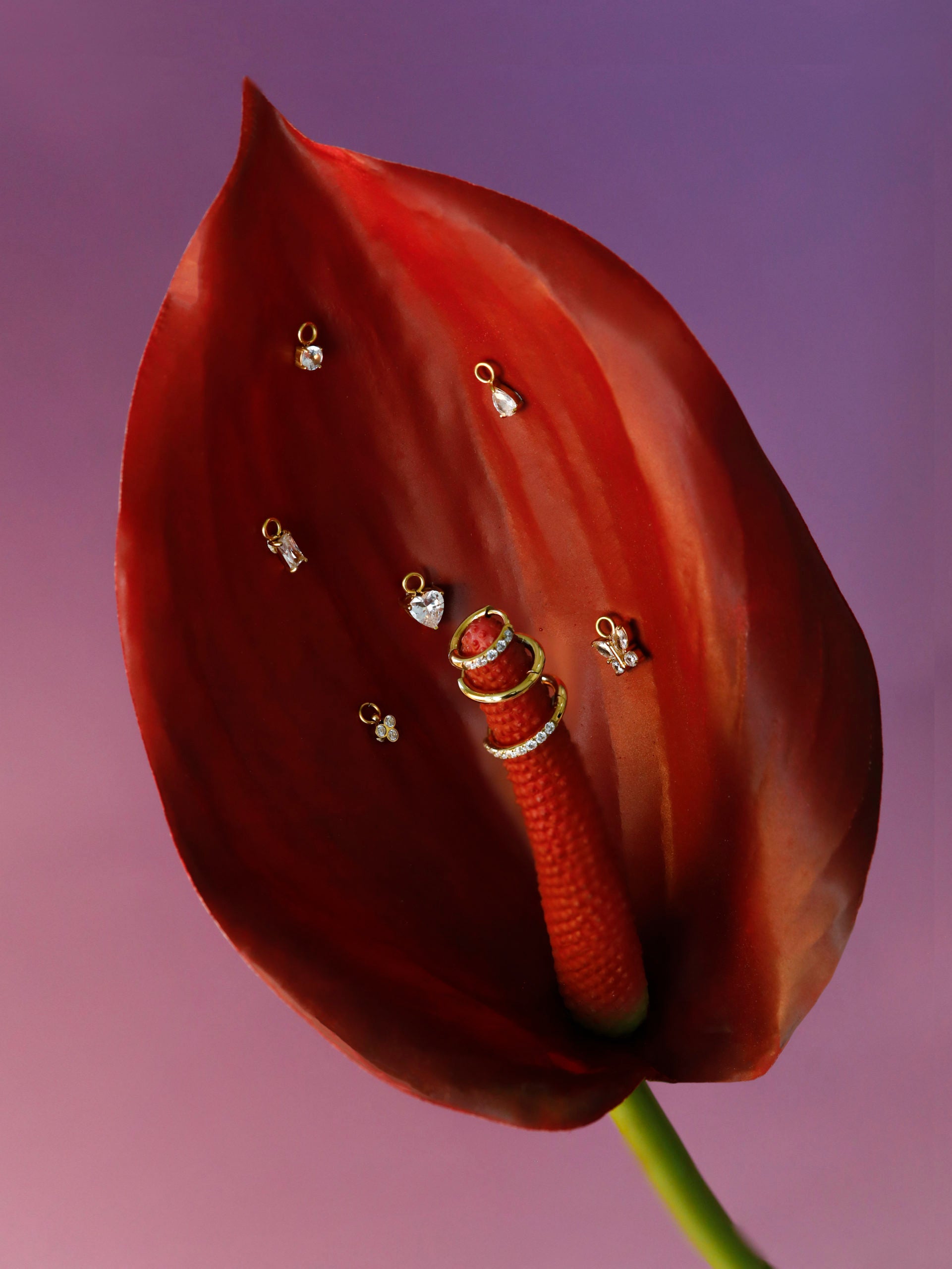 https://icrush.de/wp-content/uploads/2023/03/OE0748.4-scaled.jpg