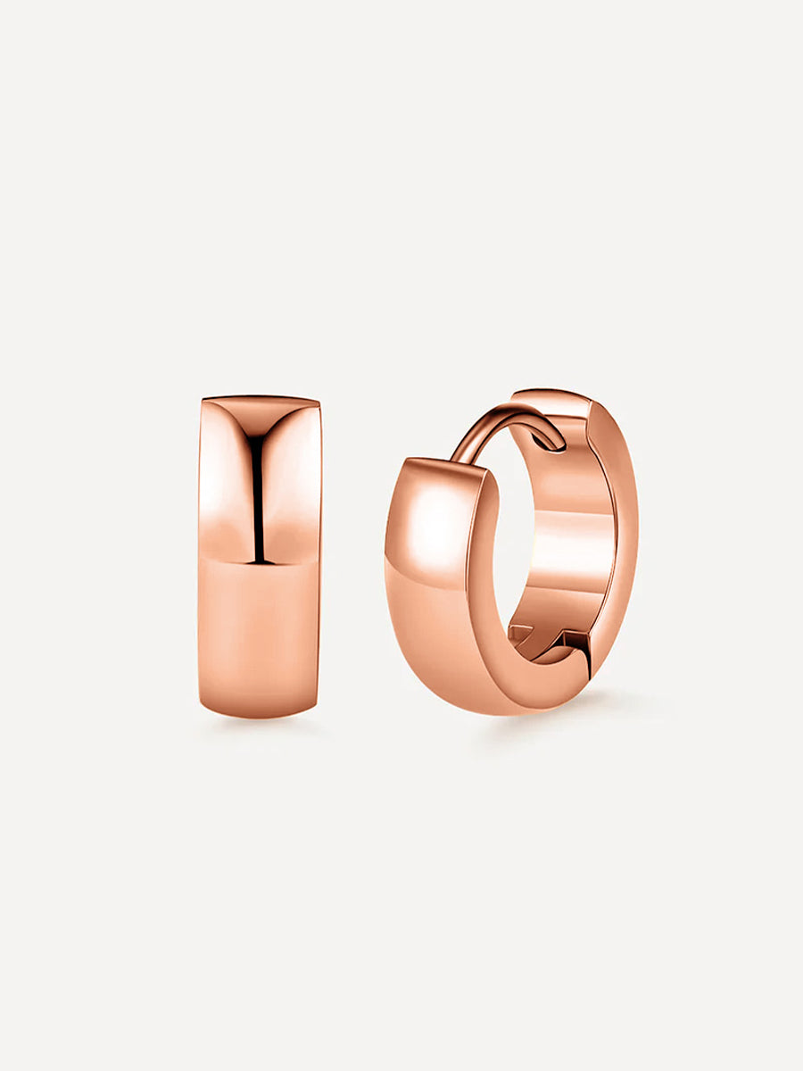 Splendid earrings
