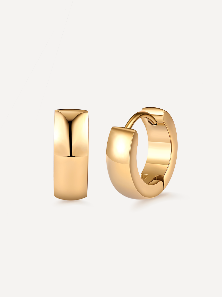 Splendid earrings