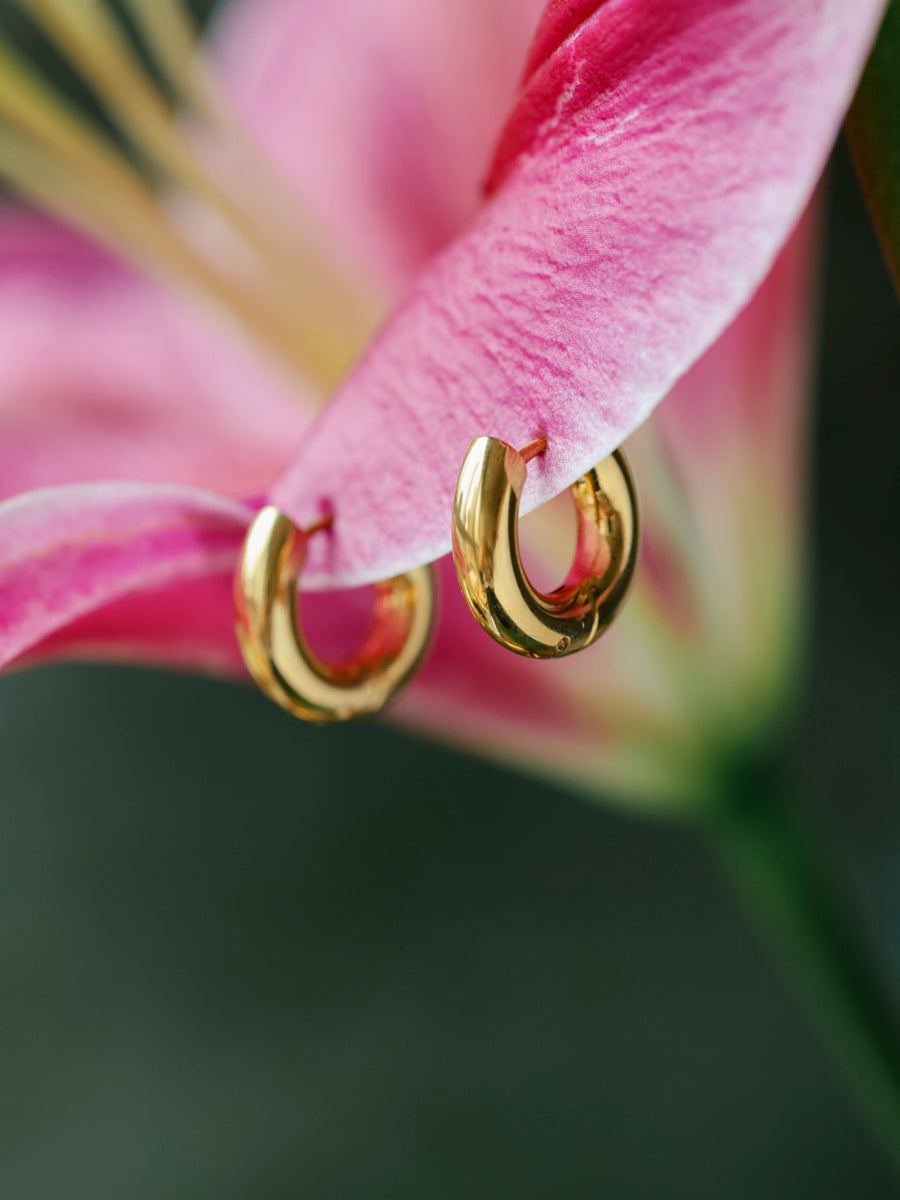 18mm Vast Halo Earrings