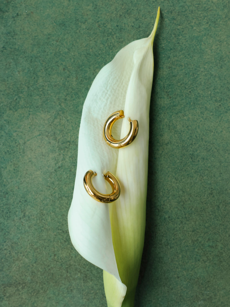 16mm Plump Halo Earrings