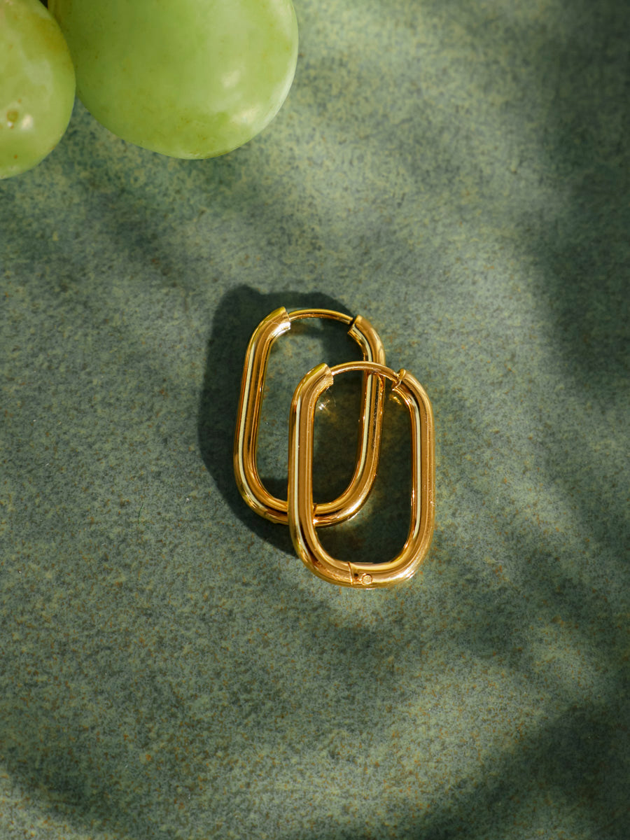 22mm Huge Apeal Earrings