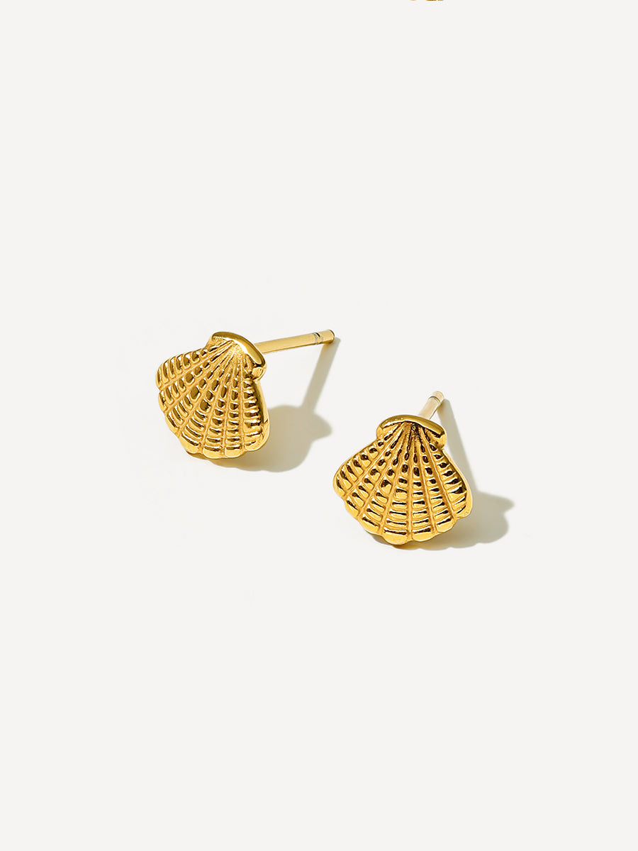 Exquisite shell earrings