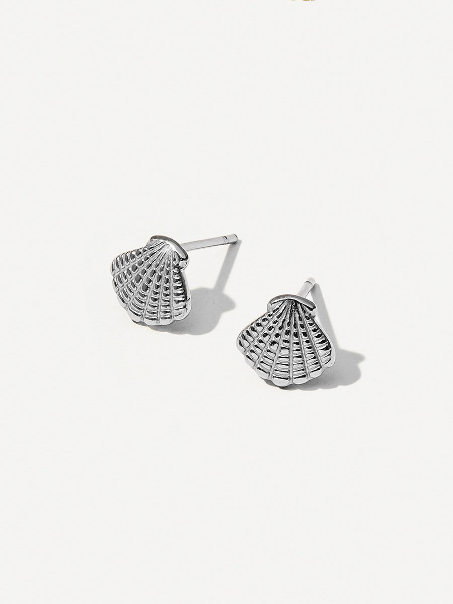 Exquisite shell earrings
