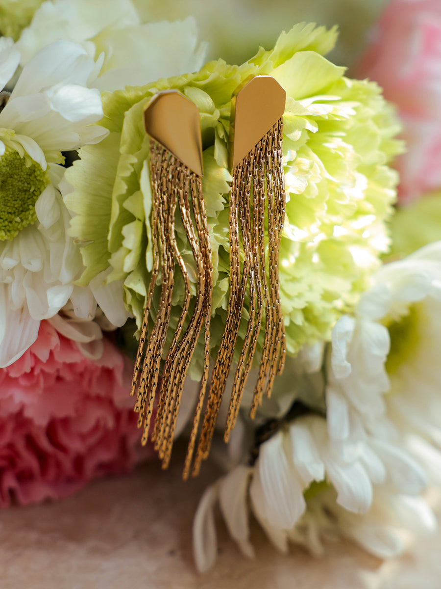 Elegant Tassel Earrings