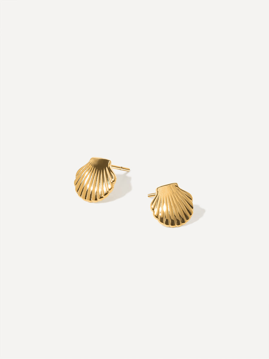 Pure Shell Earrings