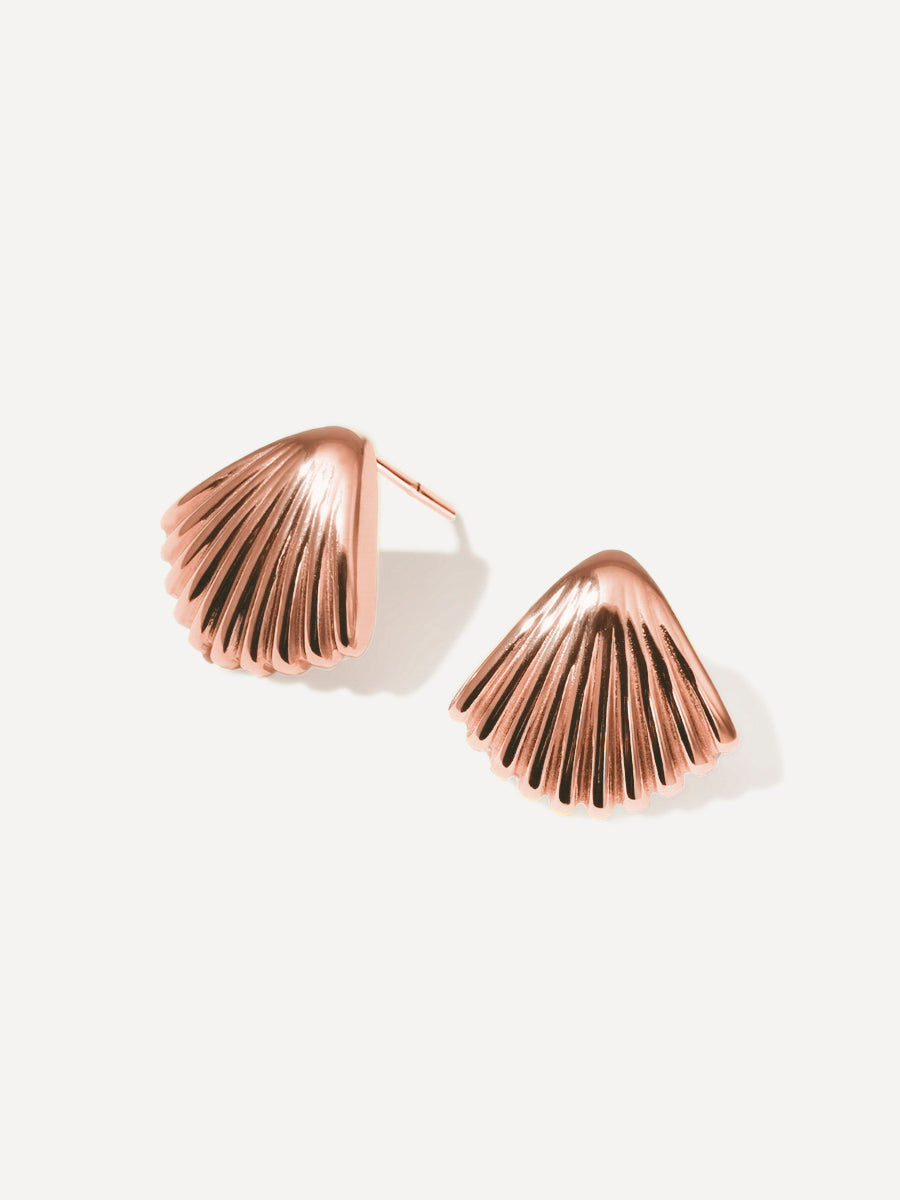 Seashell Elegance Earrings
