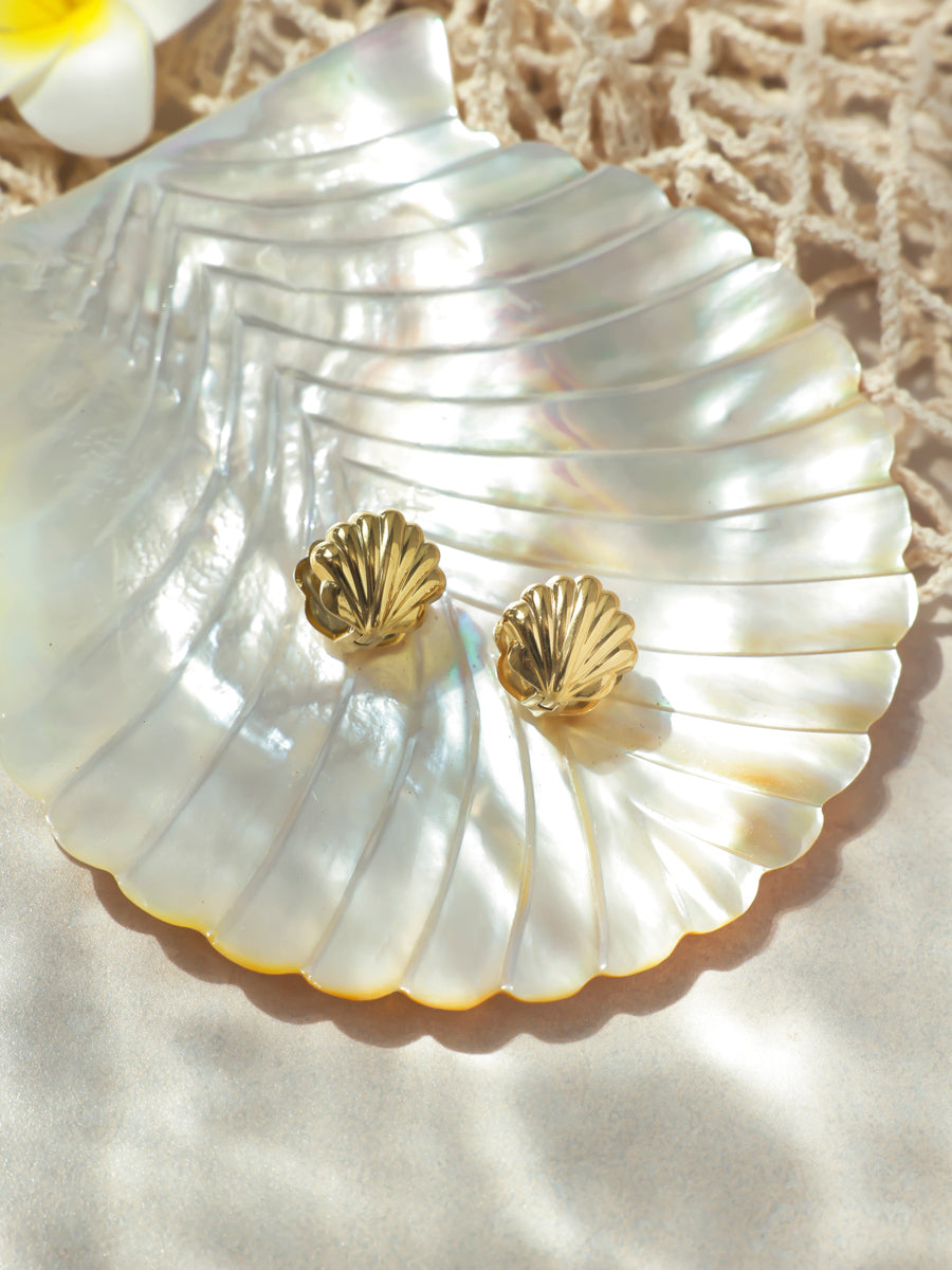 Shell Melody Earrings