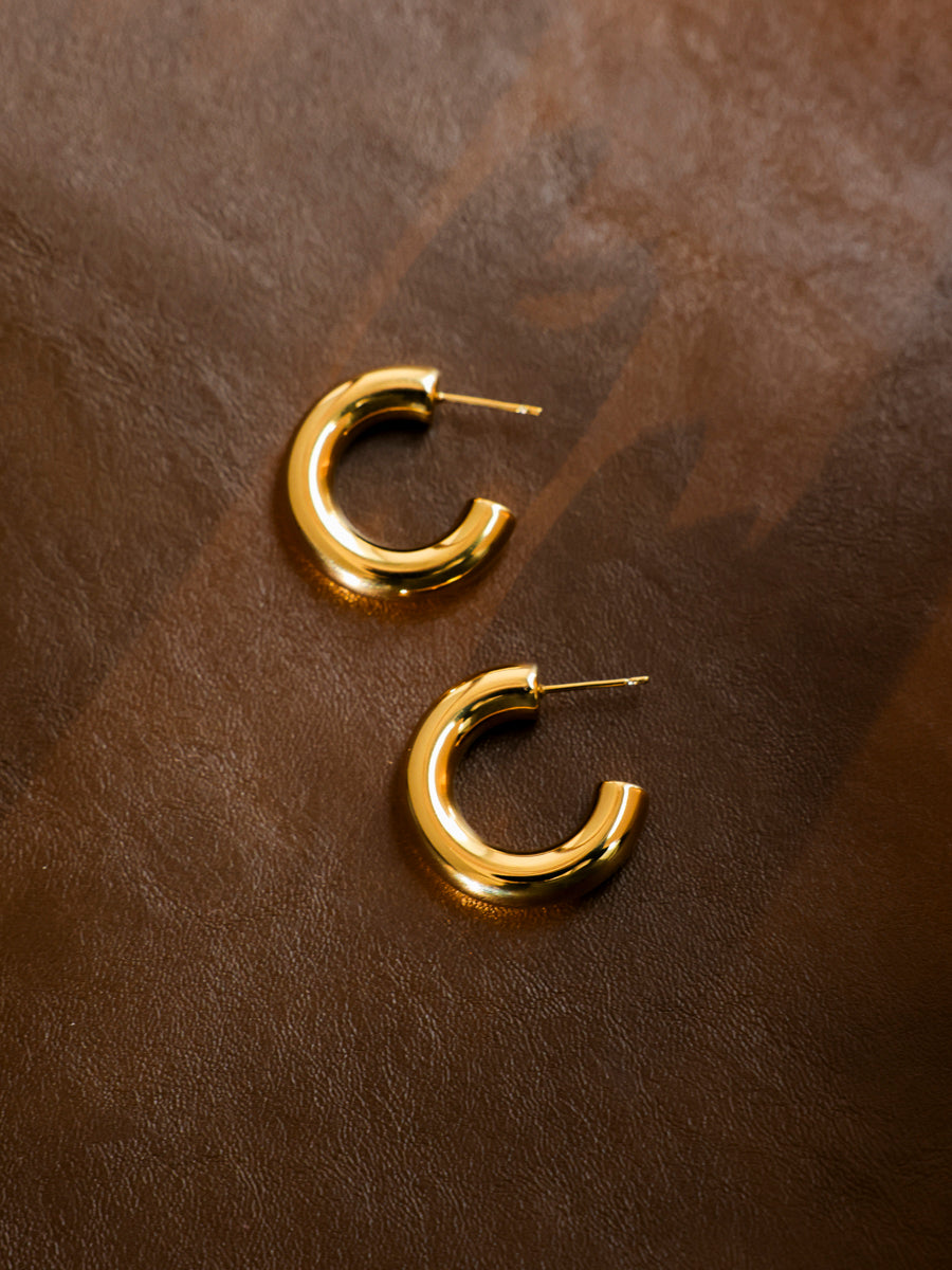 Elegant Arc Small Earrings