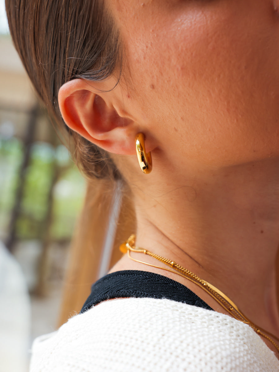 Elegant Arc Small Earrings