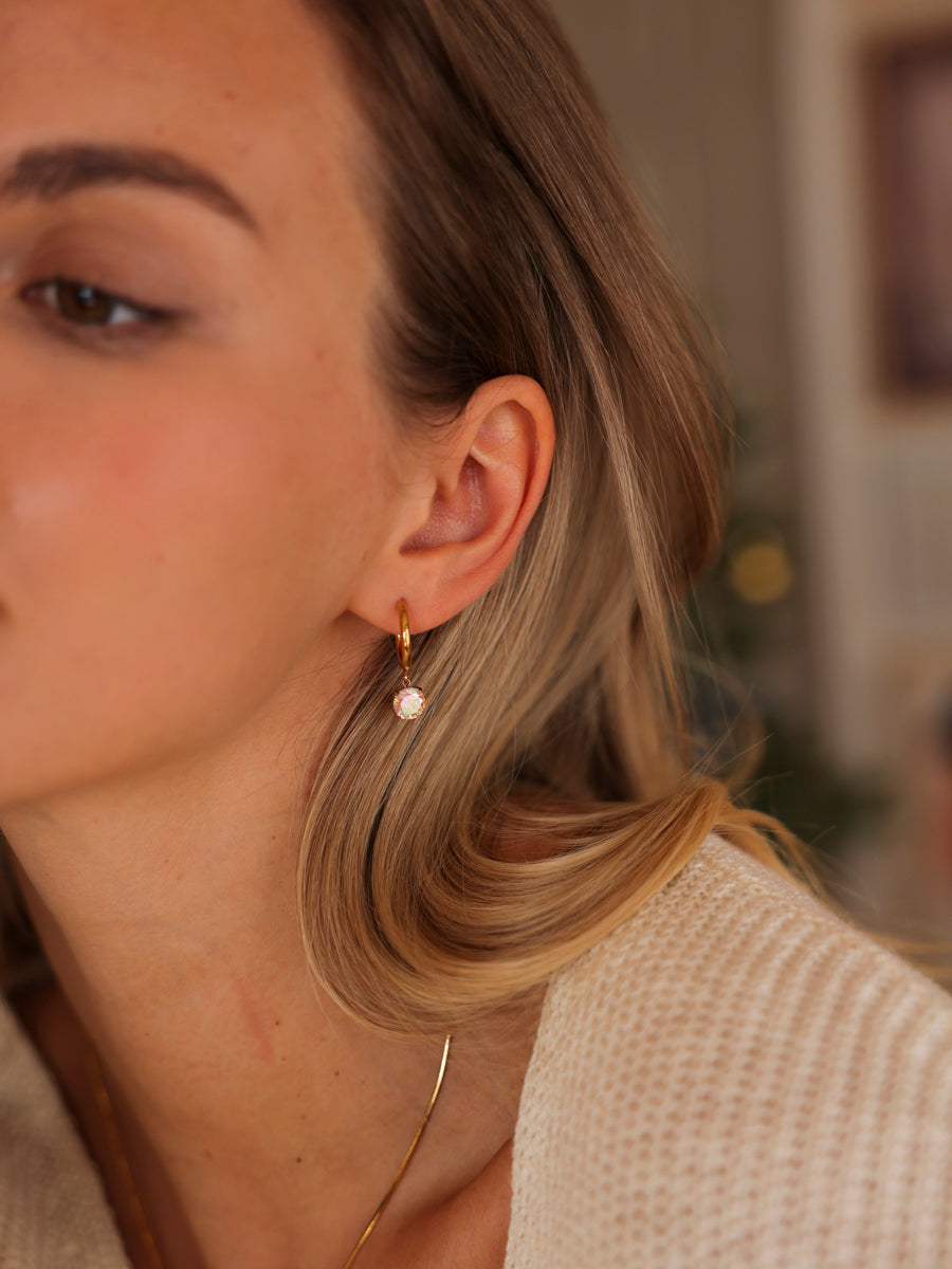 Crystal Delight Rainbow Ohrringe