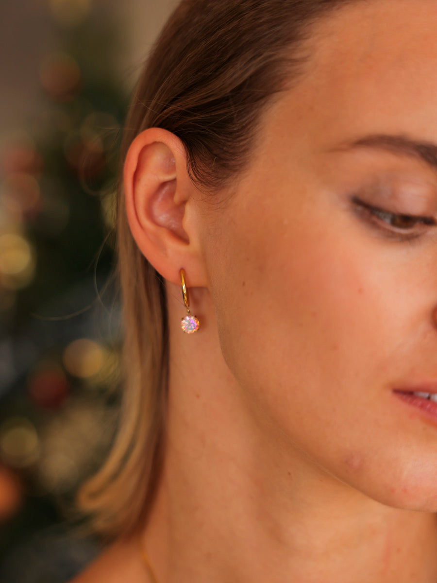 Crystal Delight Rainbow Ohrringe