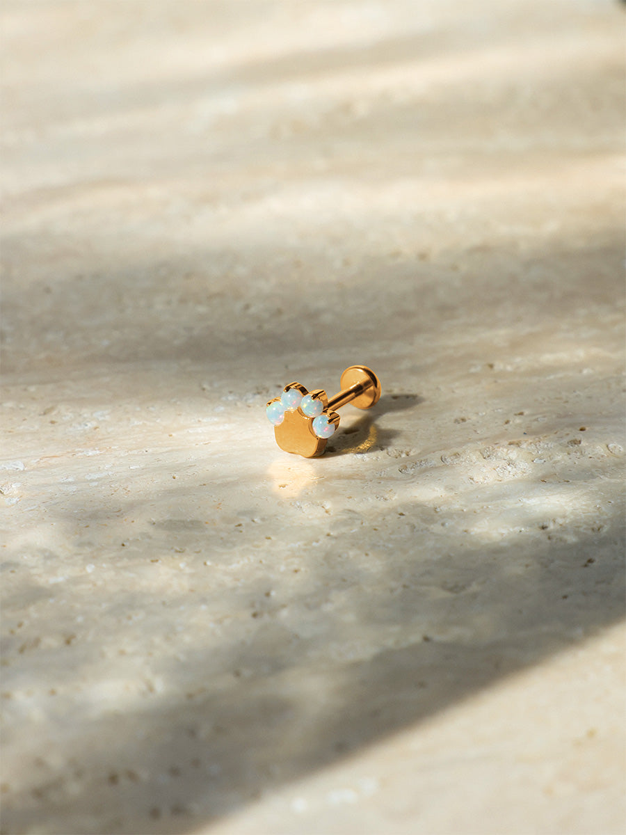 Paw Glow Titan Piercing