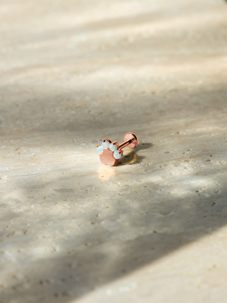 Paw Glow Titan Piercing