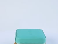 ICRUSH Travel Case Green