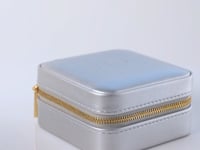 ICRUSH Travel Case Silver