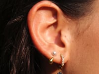 Ocean Drop Pearl Ohrringe Gold
