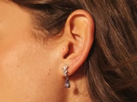 Blue Swallowtail Ohrringe Silber