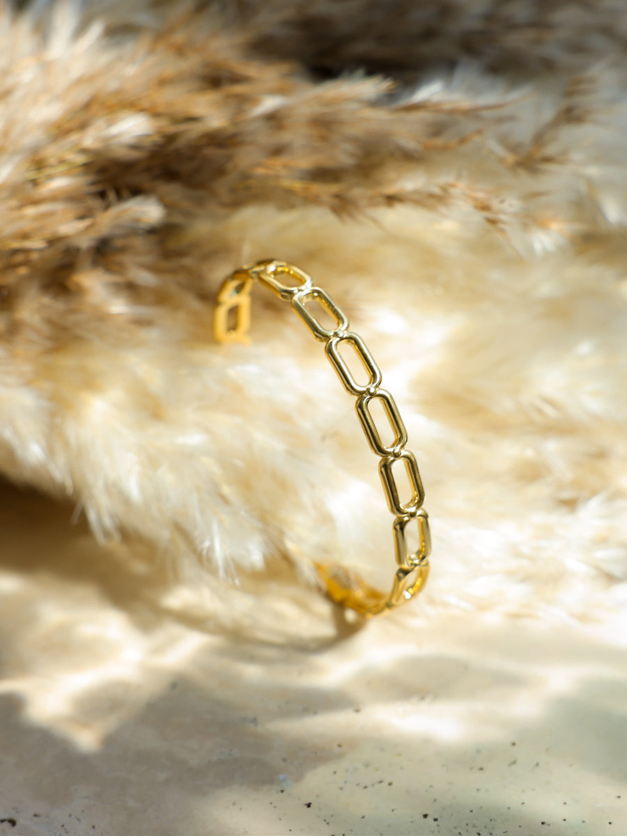 Harmony Link Armcuff