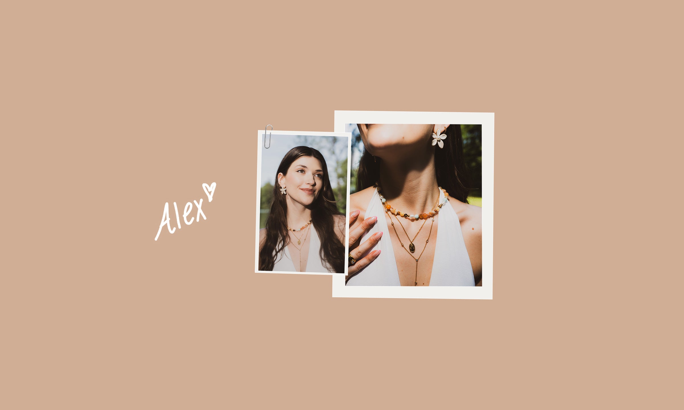 Alex's Picks