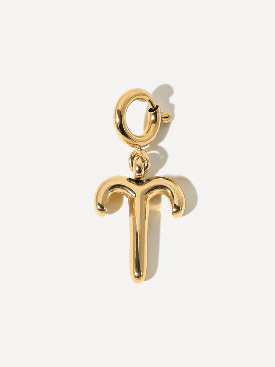 Classic Zodiac Ketten-Charm - Aries ICRUSH