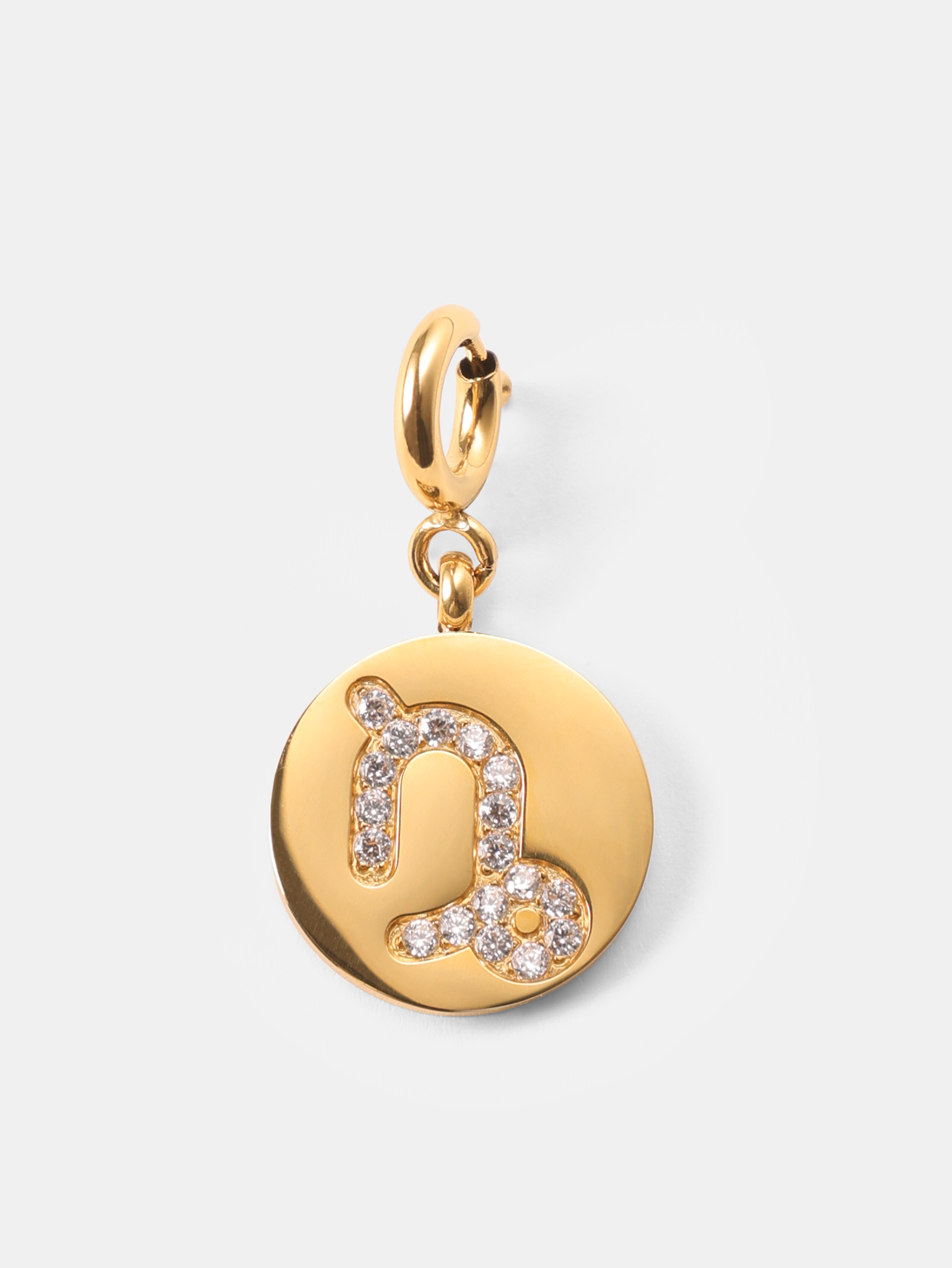 Twinkling Zodiac Ketten-Charm - Capricorn