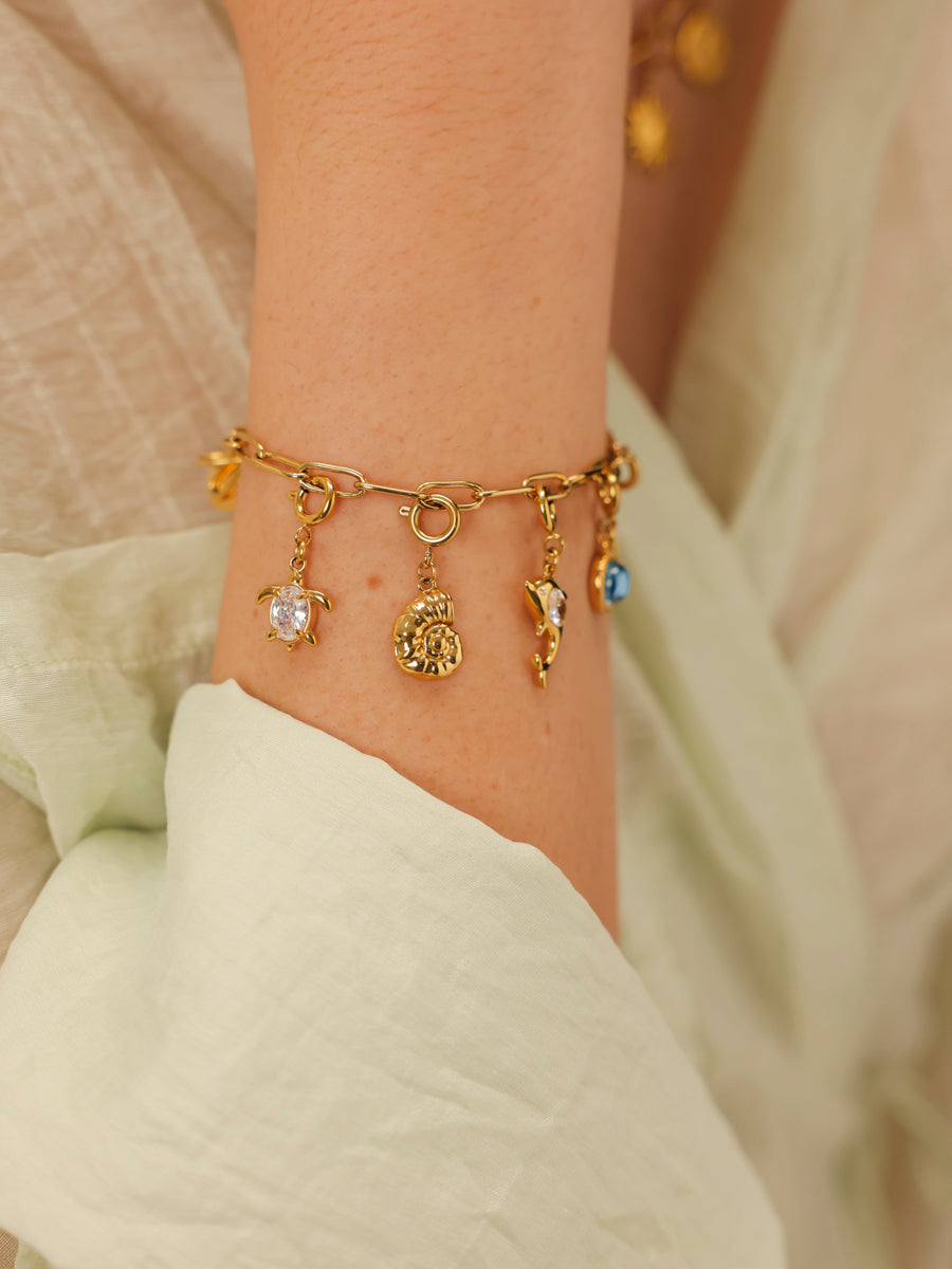 Turtle's Journey Ketten-Charm