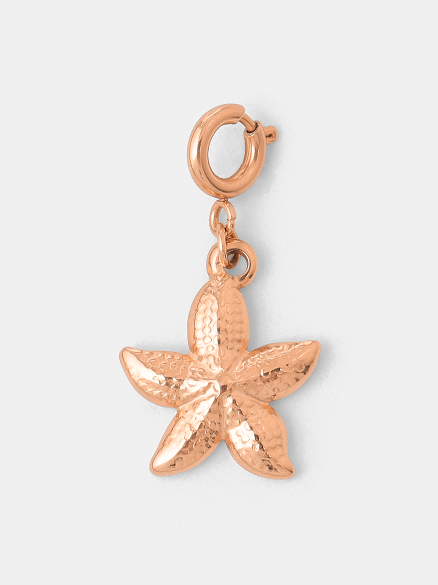 Coast Star Ketten-Charm