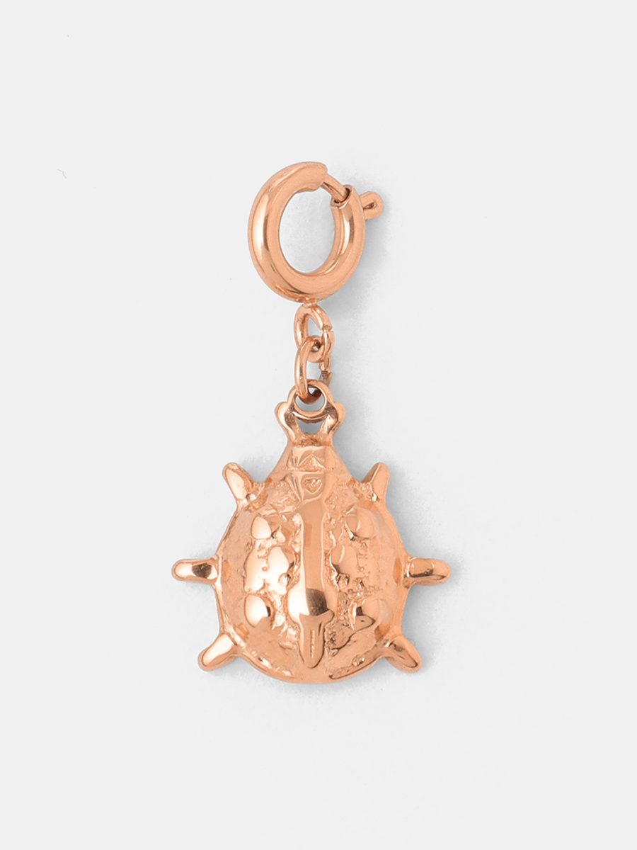 Ladybird Wish Ketten-Charm