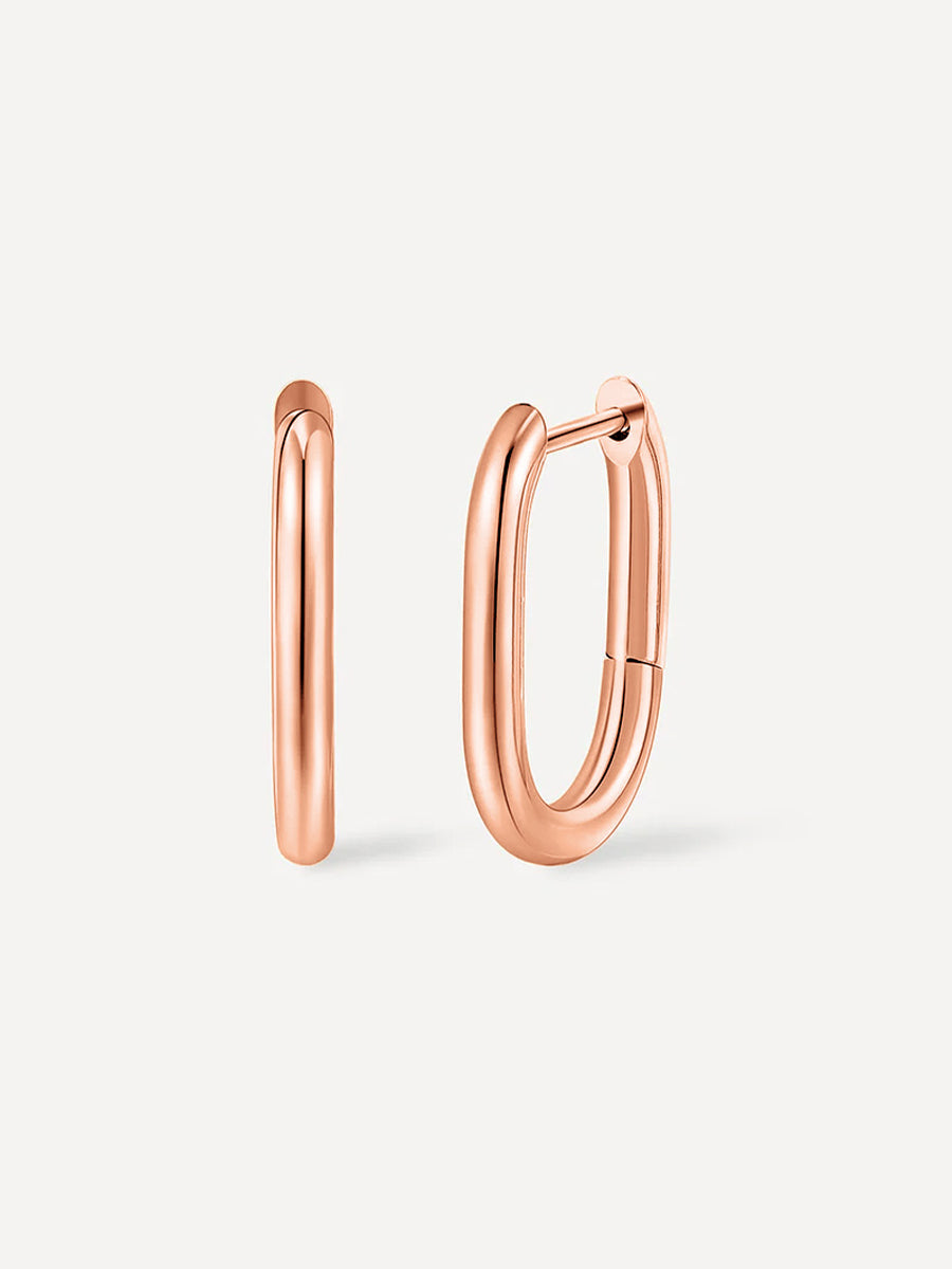 19mm Absolute Appeal Small Earrings