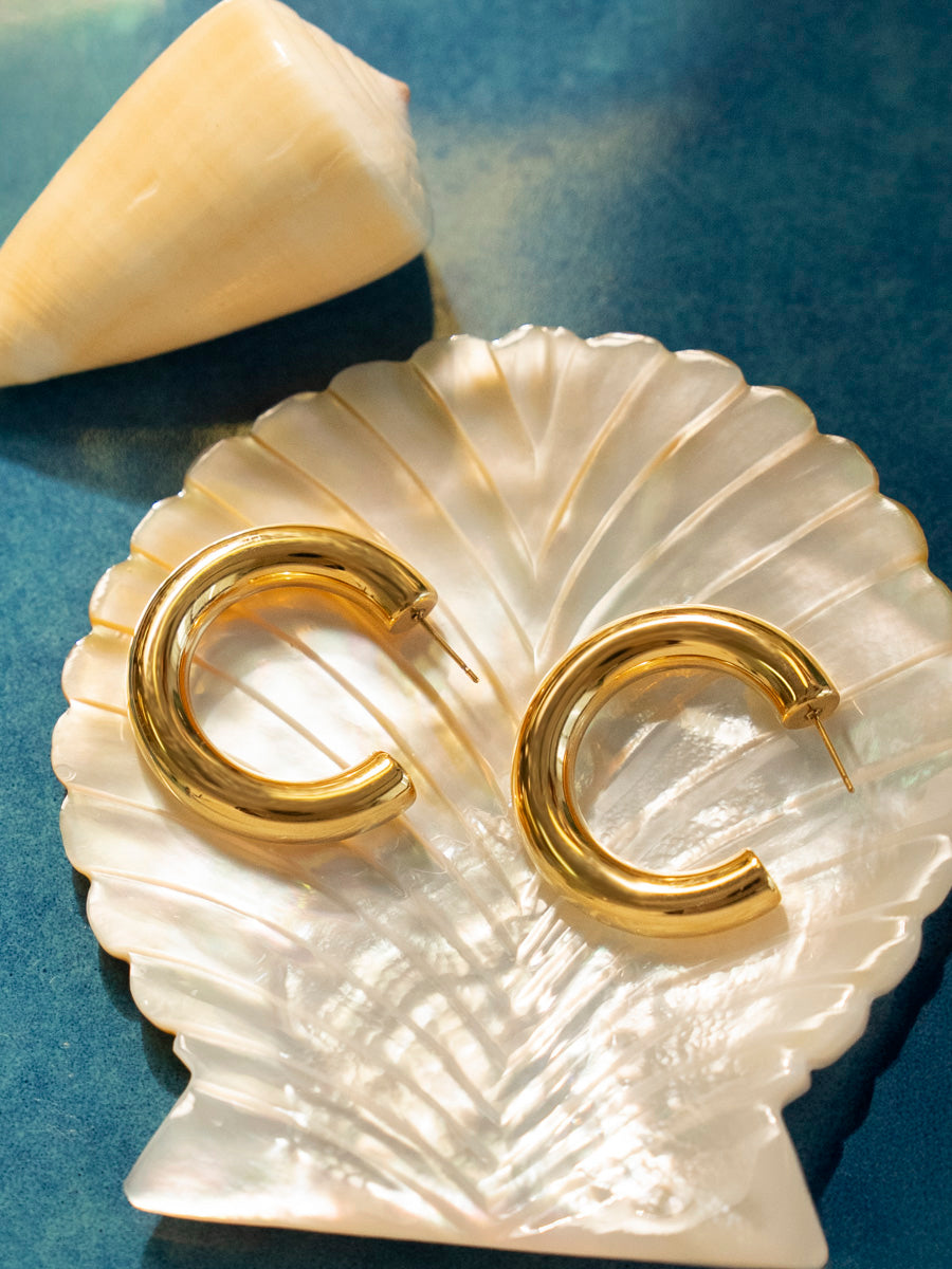 Elegant Arc Large Earrings