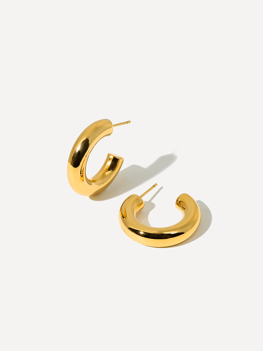 Elegant Arc Small Earrings