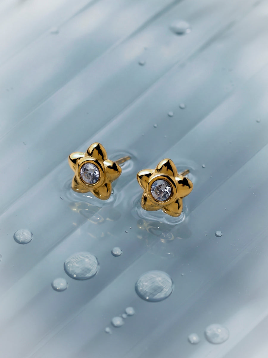 Twinkle Star Ohrringe