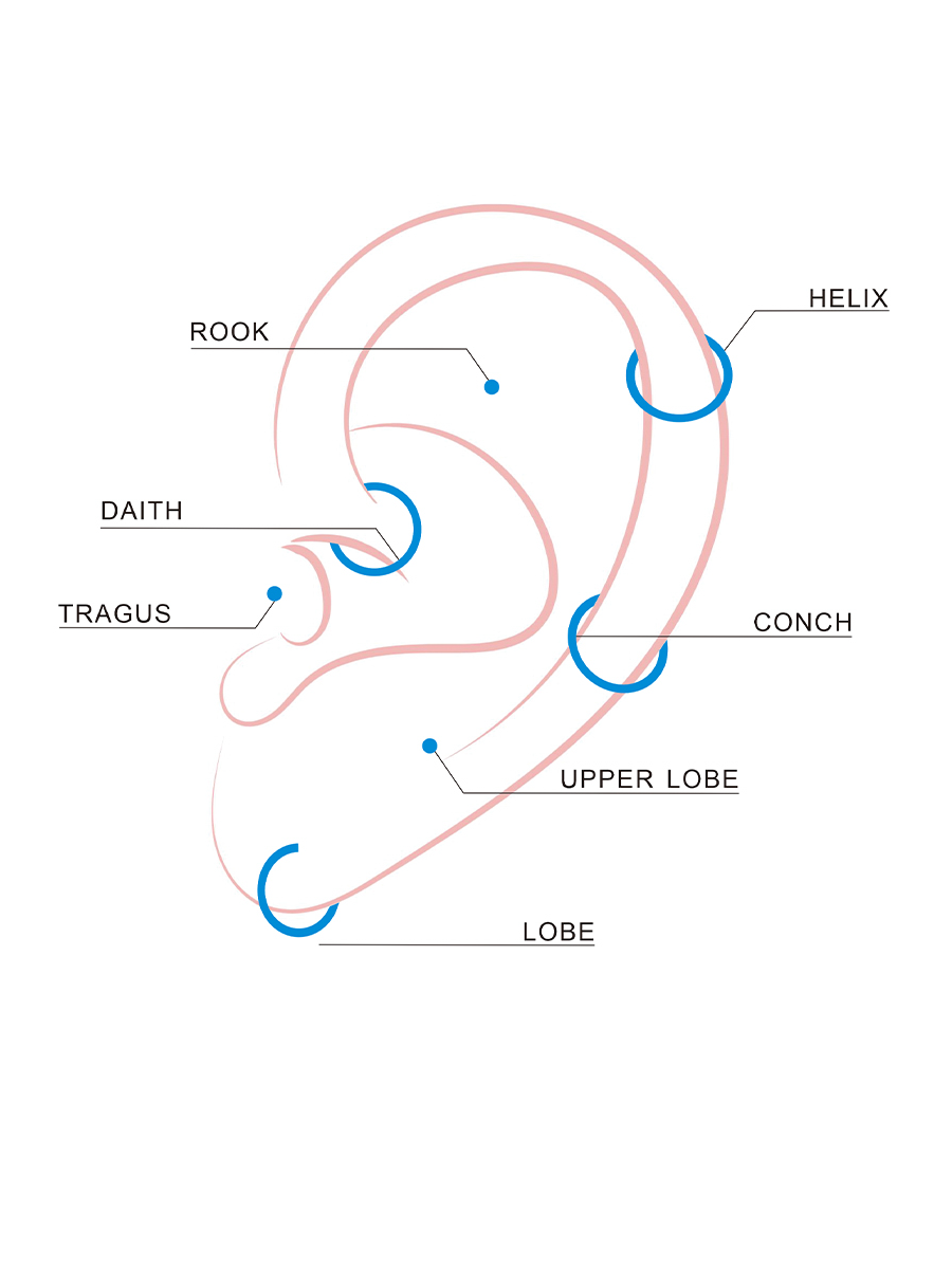 Curved Leaf Titan Piercing
