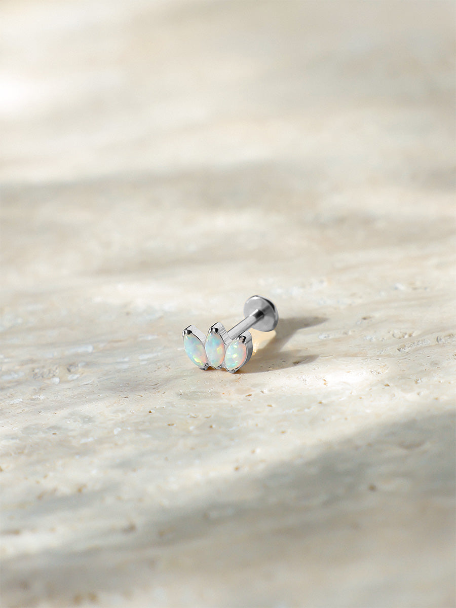 Oceanic Dream Titan Piercing