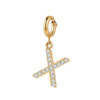 Initial Charm - X ICRUSH Gold/Silver