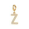 Initial Charm - Z ICRUSH Gold/Silver