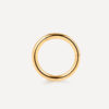Simple Hoop Titan Piercing Gold ICRUSH Gold/Silver