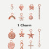 2 Charms Bundle Rosegold ICRUSH Gold/Silver