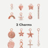 2 Charms Bundle Rosegold ICRUSH Gold/Silver